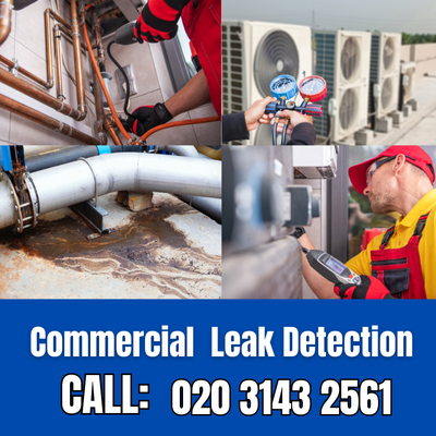 Commercial Leak Detection Services in Foots Cray | Foots Cray Leak Detection