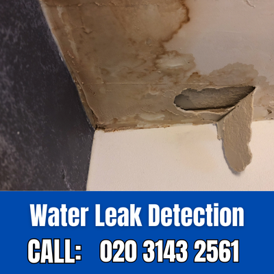 Expert Water Leak Detection Services in Foots Cray | Foots Cray Leak Detection